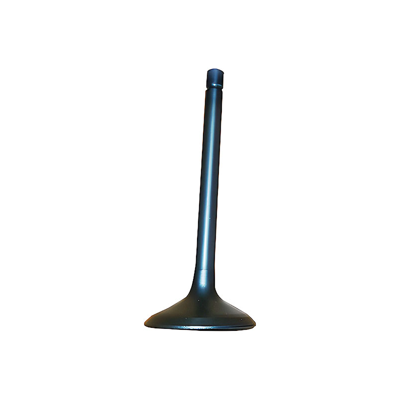 Intake Valve